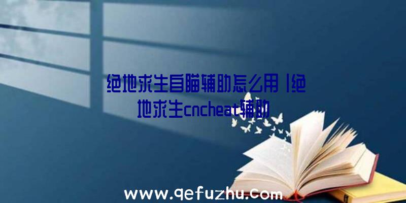 「绝地求生自瞄辅助怎么用」|绝地求生cncheat辅助